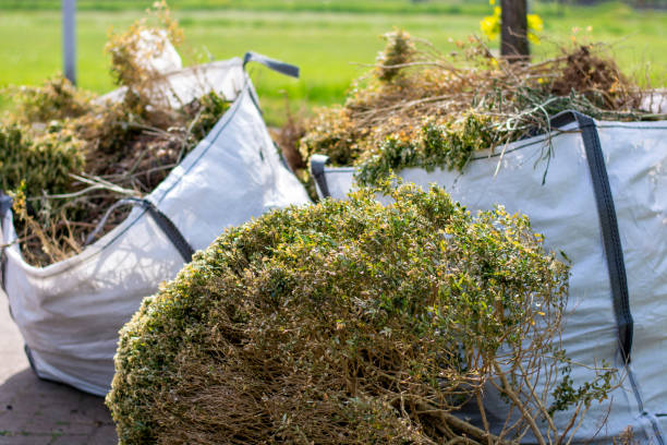 Best Construction Debris Removal  in Beeville, TX